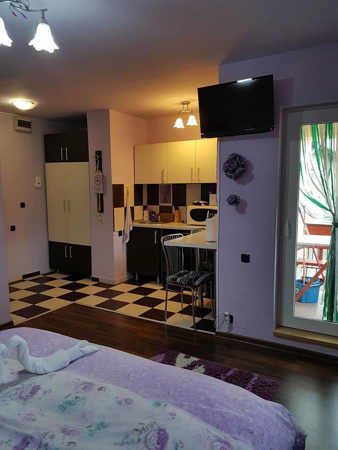 Garsoniera Cristina Apartment Băile Felix Exterior photo